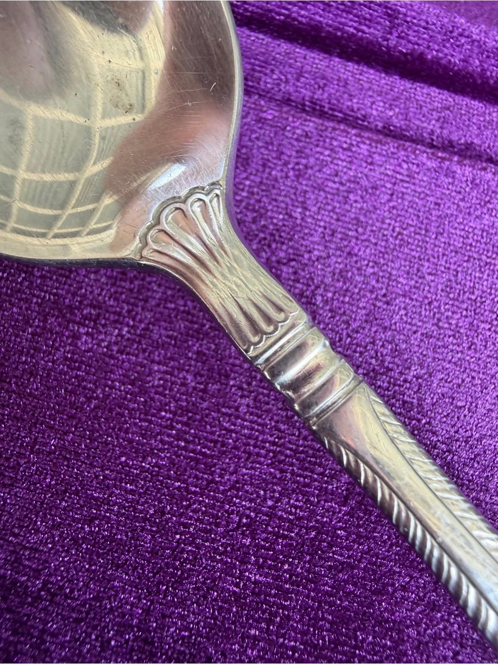 Wallace french shell